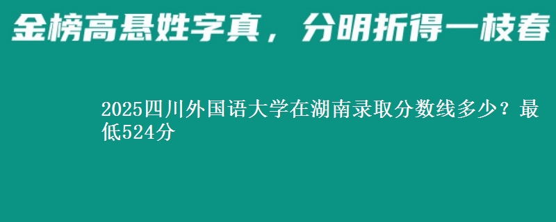 2025四川外国语大学在湖南录取分数线多少?最低524分
