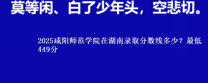 2025咸阳师范学院在湖南录取分数线多少？最低449分