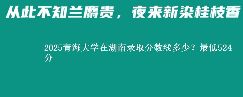 2025青海大学在湖南录取分数线多少？最低524分