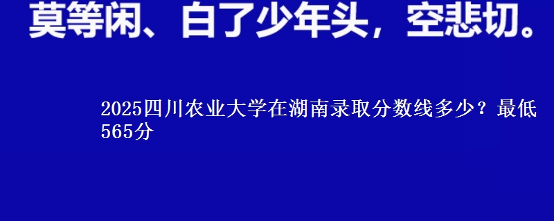 2025四川农业大学在湖南录取分数线多少？最低565分