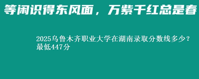 2025乌鲁木齐职业大学在湖南录取分数线多少？最低447分
