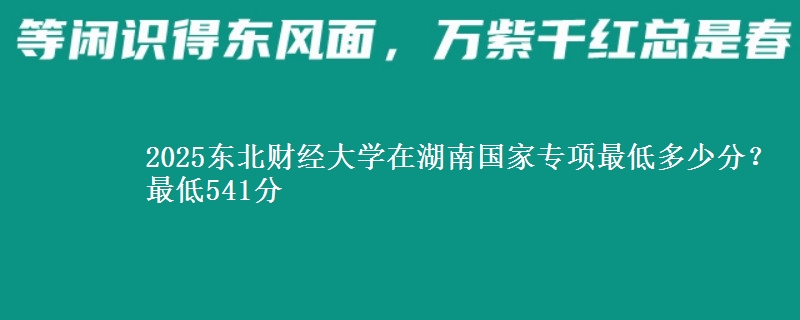 2025东北财经大学在湖南国家专项录取分数线多少?最低541分