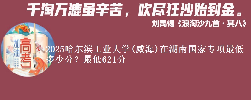 2025哈尔滨工业大学(威海)在湖南国家专项录取分数线多少？最低621分