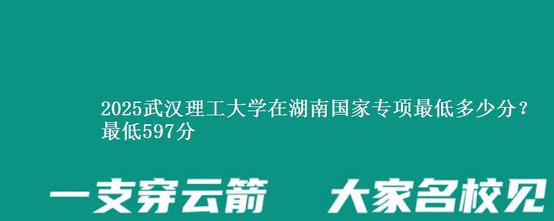2025武汉理工大学在湖南国家专项录取分数线多少？最低597分