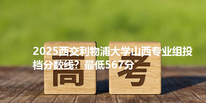 2025西交利物浦大学山西专业组投档分数线？最低567分