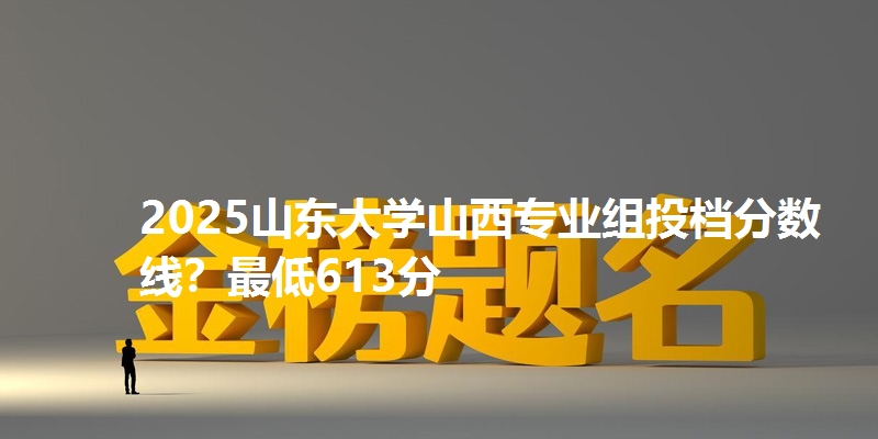 2025山东大学山西专业组投档分数线？最低613分