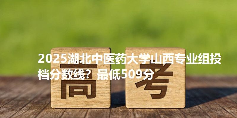 2025湖北中医药大学山西专业组投档分数线？最低509分