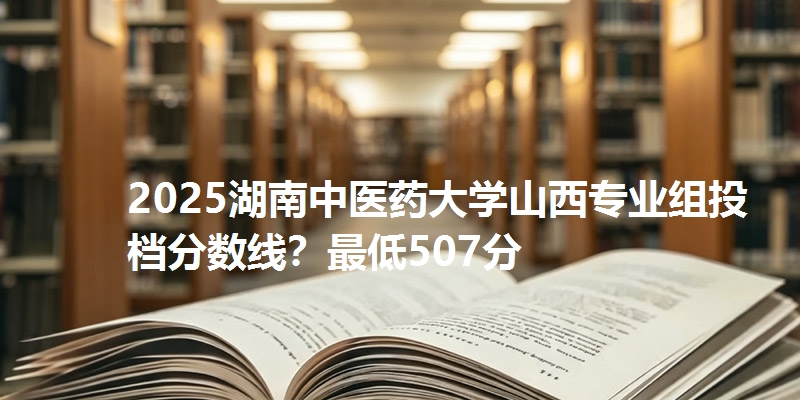 2025湖南中医药大学山西专业组投档分数线？最低507分