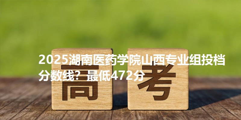 2025湖南医药学院山西专业组投档分数线？最低472分