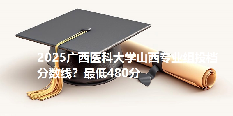 2025广西医科大学山西专业组投档分数线？最低480分