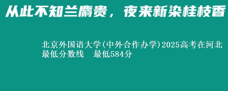 北京外国语大学(中外合作办学)2025高考在河北最低分数线 最低584分