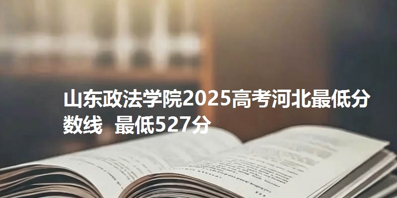 山东政法学院2025高考河北最低分数线  最低527分