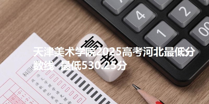 天津美术学院2025高考河北最低分数线  最低530.25分