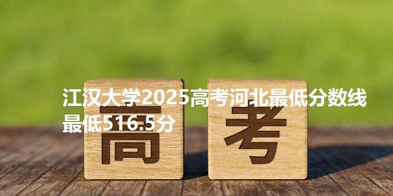 江汉大学2025高考河北最低分数线  最低516.5分