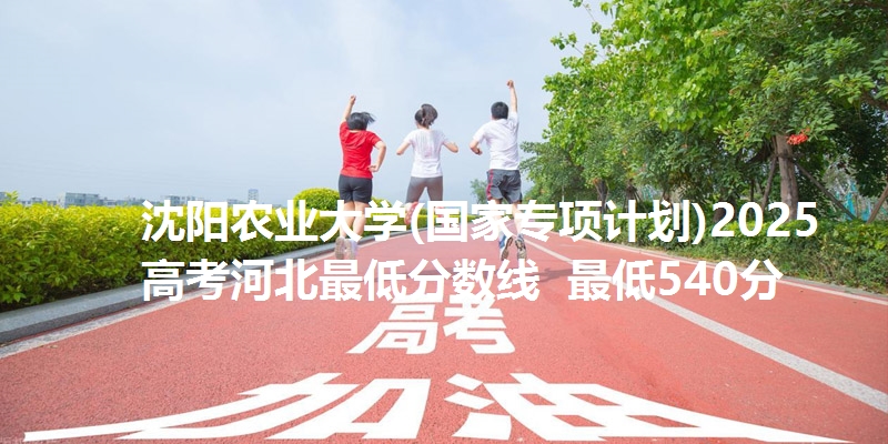 沈阳农业大学(国家专项计划)2025高考河北最低分数线  最低540分