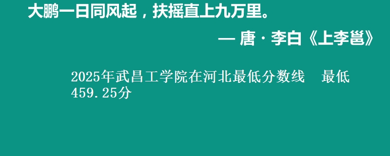 2025年武昌工学院在河北最低分数线 最低459.25分