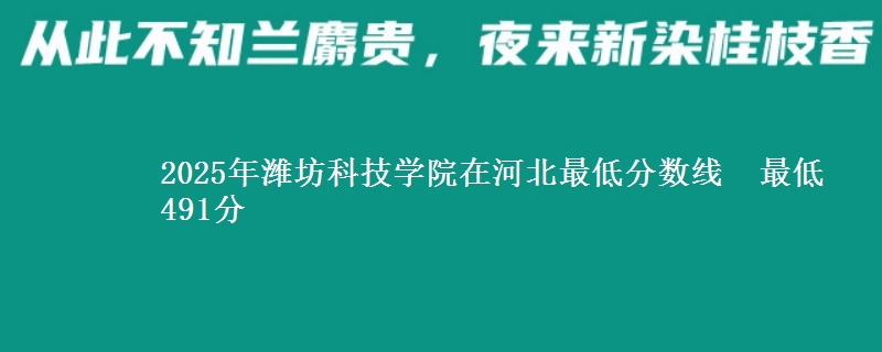 2025年潍坊科技学院在河北最低分数线 最低491分