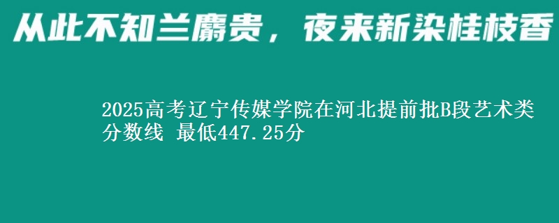 2025高考辽宁传媒学院在河北提前批B段艺术类分数线 最低447.25分