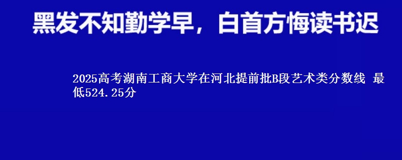 2025高考湖南工商大学在河北提前批B段艺术类分数线 最低524.25分