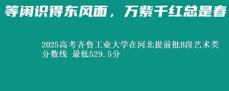 2025高考齐鲁工业大学在河北提前批B段艺术类分数线 最低529.5分