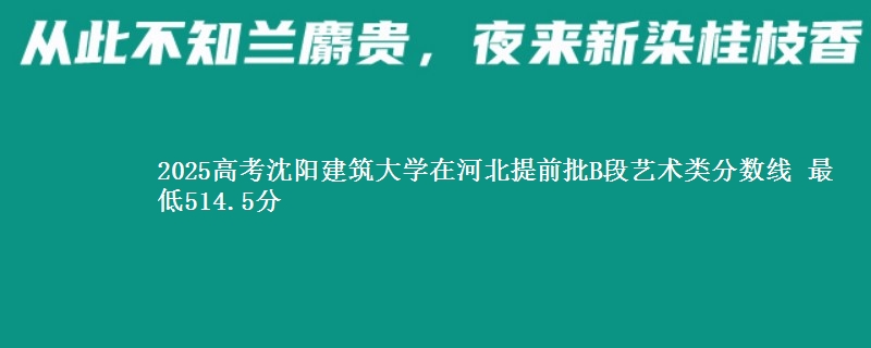 2025高考沈阳建筑大学在河北提前批B段艺术类分数线 最低514.5分