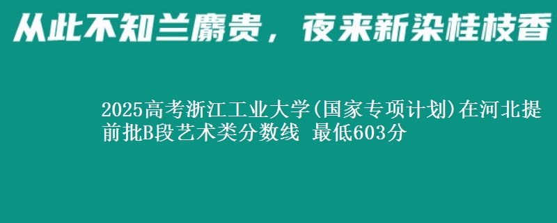 2025高考浙江工业大学(国家专项计划)在河北提前批B段艺术类分数线 最低603分