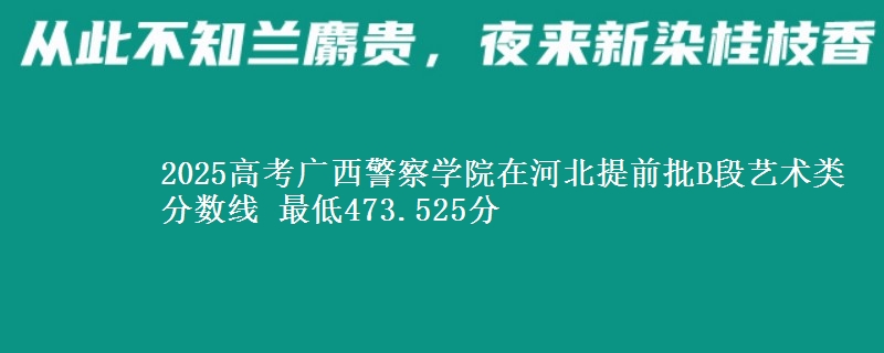 2025高考广西警察学院在河北提前批B段艺术类分数线 最低473.525分