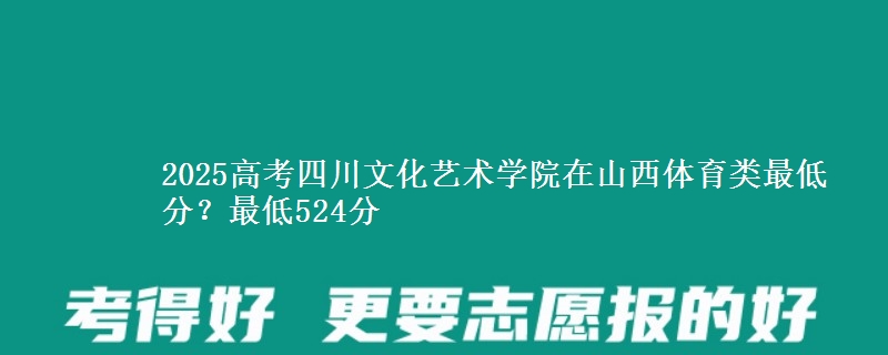 2025高考四川文化艺术学院在山西体育类最低分?最低524分