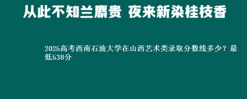 2025高考西南石油大学在山西艺术类录取分数线多少？最低538分