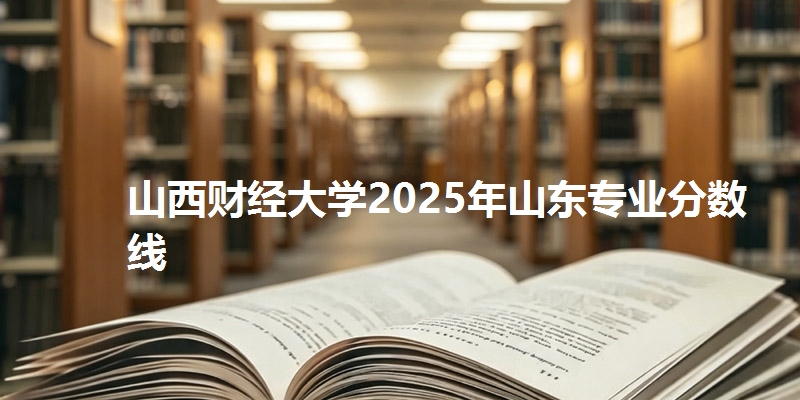 山西财经大学2025年山东专业分数线