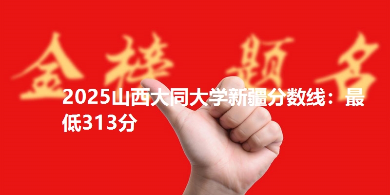 2025山西大同大学新疆分数线：最低313分