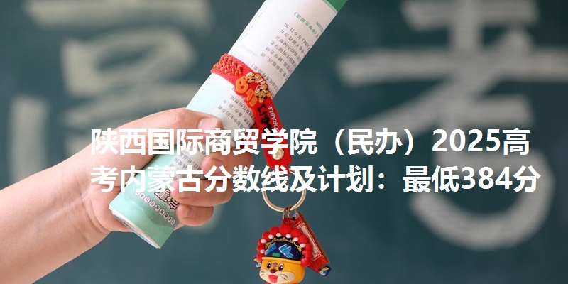 陕西国际商贸学院（民办）2025高考内蒙古分数线及计划：最低384分