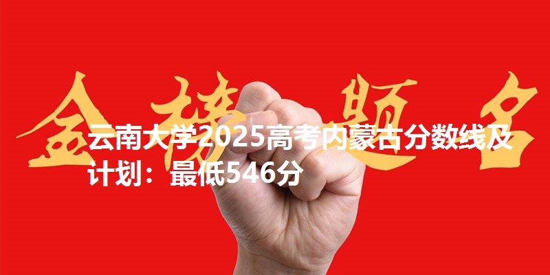 云南大学2025高考内蒙古分数线及计划：最低546分