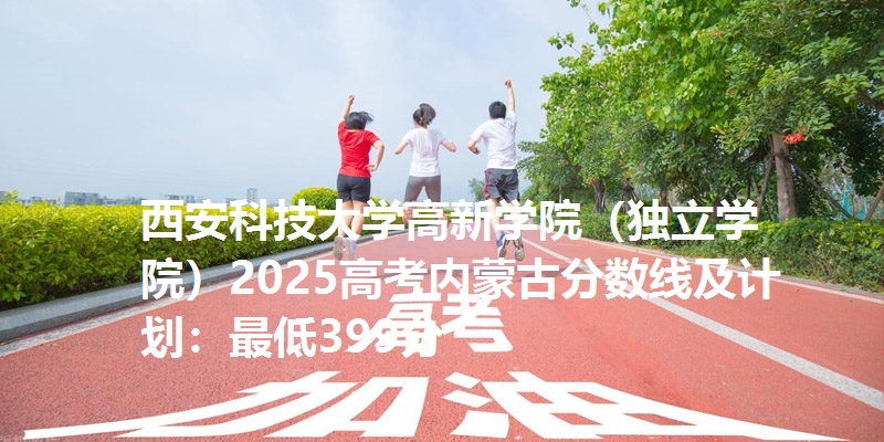 西安科技大学高新学院（独立学院）2025高考内蒙古分数线及计划：最低399分