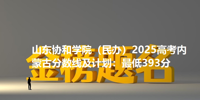 山东协和学院（民办）2025高考内蒙古分数线及计划：最低393分