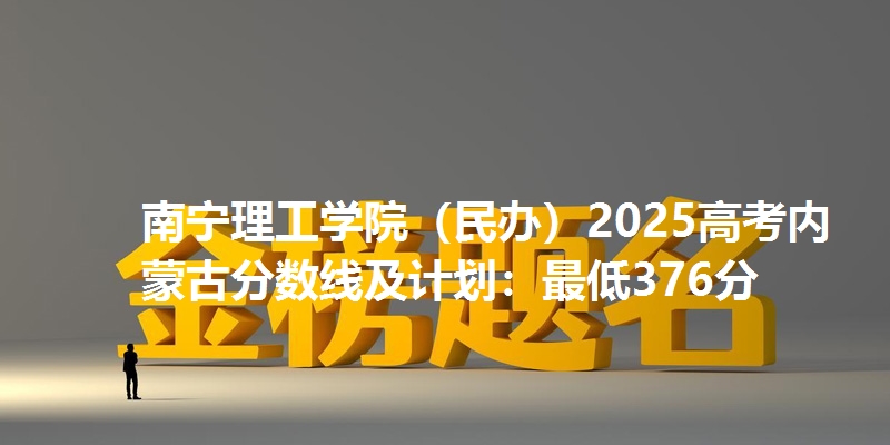 南宁理工学院（民办）2025高考内蒙古分数线及计划：最低376分