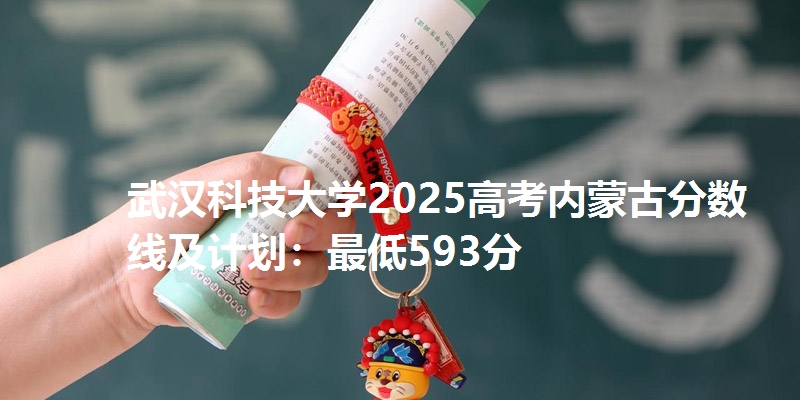 武汉科技大学2025高考内蒙古分数线及计划：最低593分