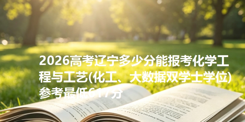 2026高考辽宁多少分能报考化学工程与工艺(化工、大数据双学士学位) 参考最低617分