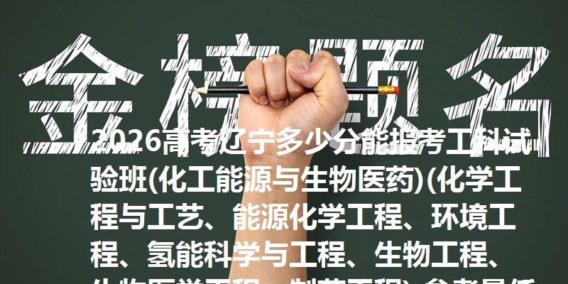 2026高考辽宁多少分能报考工科试验班(化工能源与生物医药)(化学工程与工艺、能源化学工程、环境工程、氢能科学与工程、生物工程、生物医学工程、制药工程) 参考最低612分