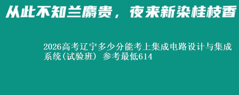 2026高考辽宁多少分能考上集成电路设计与集成系统(试验班) 参考最低614
