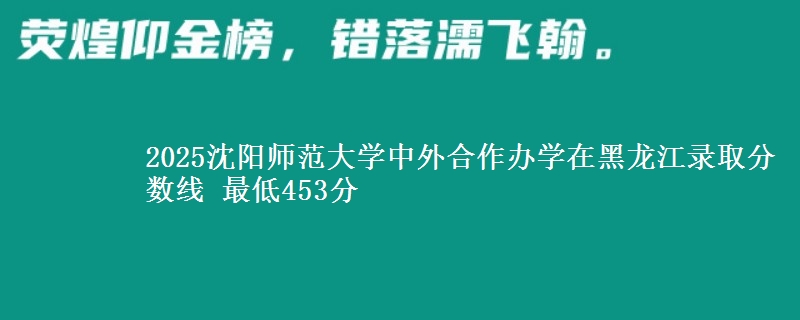 2025沈阳师范大学中外合作办学在黑龙江录取分数线 最低453分