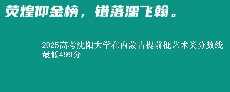 2025高考沈阳大学在内蒙古提前批艺术类分数线 最低499分