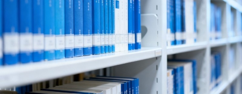 2025高考石家庄医学高等专科学校在浙江分数线和录取人数 最低371分