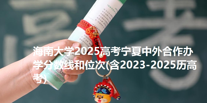 海南大学2025高考宁夏中外合作办学分数线和位次(含2023-2025历高考)