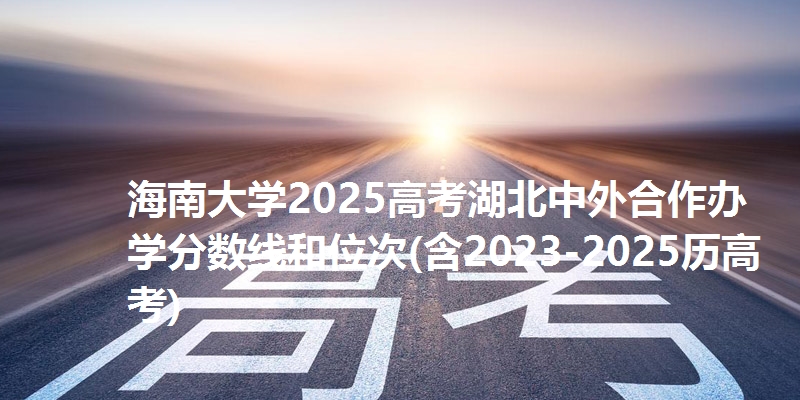 海南大学2025高考湖北中外合作办学分数线和位次(含2023-2025历高考)