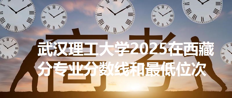 武汉理工大学2025在西藏分专业分数线和最低位次