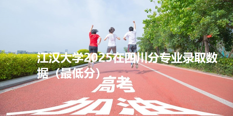 江汉大学2025在四川分专业录取数据(最低分)