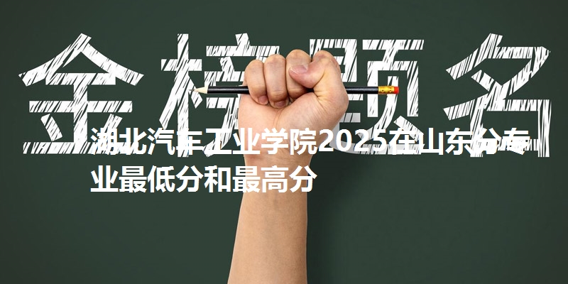 湖北汽车工业学院2025在山东分专业最低分和最高分