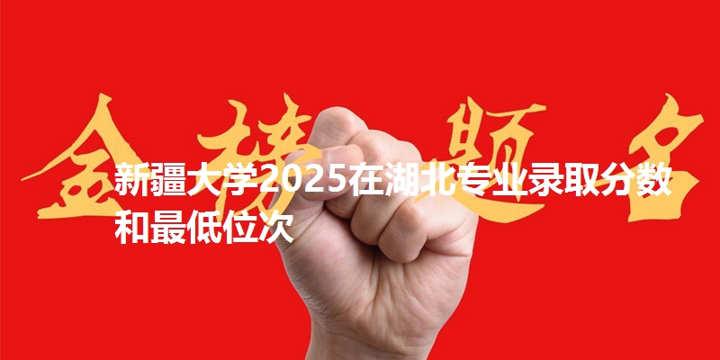 新疆大学2025在湖北专业录取分数和最低位次