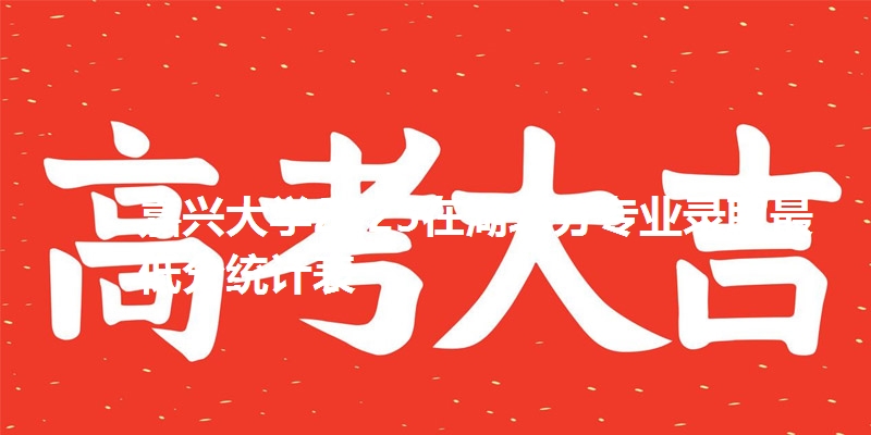 嘉兴大学2025在湖北分专业录取最低分统计表